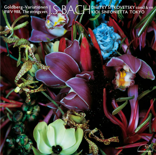 精品成人一区二区三区四区五区
